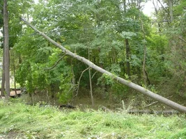 12377-Ft Dix Removals 024a.webp