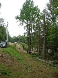 12378-Ft Dix Removals 028a.webp