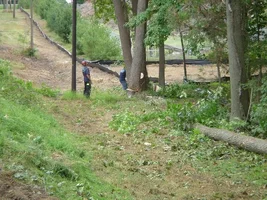 12379-Ft Dix Removals 032a.webp