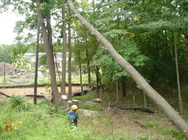 12382-Ft Dix Removals 036a.webp