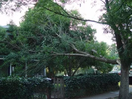 12584-split out.webp