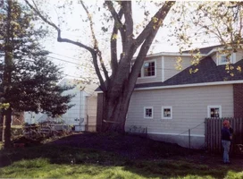 12612-belmarsilver 002.webp