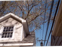 12614-belmarsilver 003.webp