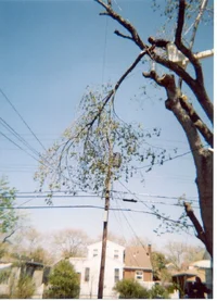 12615-belmarsilver 013.webp