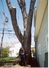 12617-belmarsilver 011.webp