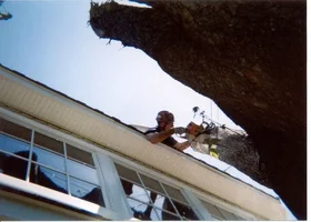 12619-belmarsilver 015.webp