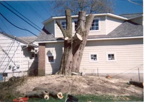 12620-belmarsilver 016.webp