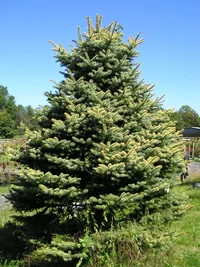 12707-flood 021.webp