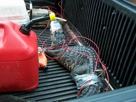 12862-Resize of 100_0492.webp