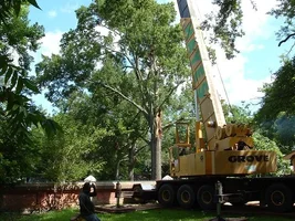 13137-trusty 80.webp