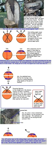 13200-incl bark 5c.webp