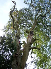 13279-100_0397 new.webp