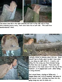 13379-dangerous hinges 18d.webp