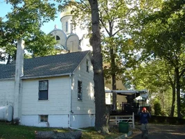 13489-trees 019c.webp