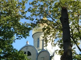 13490-trees 020d.webp