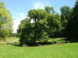 13499-italy 066c.webp