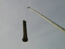 13844-october 017.webp