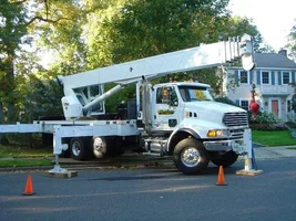 13845-october 004.webp