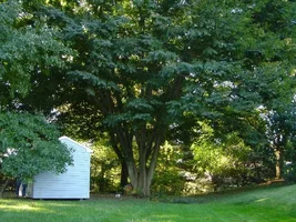 13923-october 020f.webp