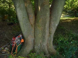 13924-october 021f.webp