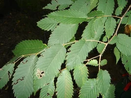 13928-october 022l.webp