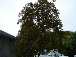 13936-october 0231.webp