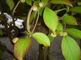 13937-october 0252.webp