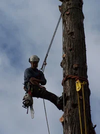 13965-100_0414 new.webp