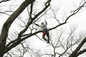 14647-JW8O3555.JPG Trim.webp