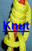 15314-Knut.gif