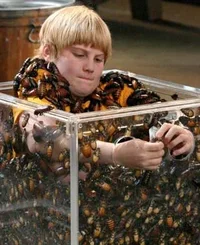 15742-gross or what.webp