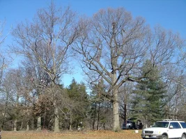 16187-Workday 2.webp