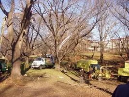 16189-Workday 4.webp