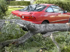 16294-cables suck 001.webp