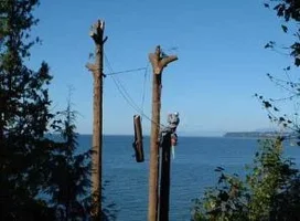 16393-Is it Safe.webp