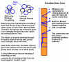 17066-Ribboning 3 Strand + preceding turns.GIF
