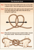 17538-Handcuff knot.gif