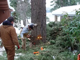 17596-ready to tip.webp