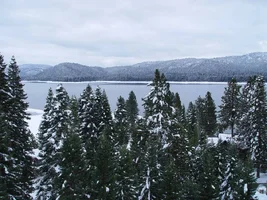 17598-Looking south from 100 feet up.webp