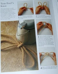 17723-tom fool-done.webp