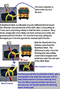 17912-Ossel vs Cow.webp