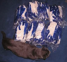 18304-wonder gloves.webp