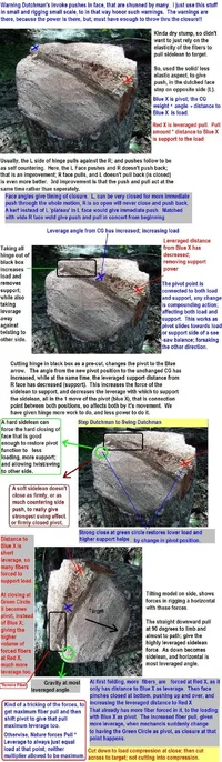 18455-Dutch Climber.webp