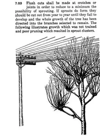 18485-flush cuts.webp