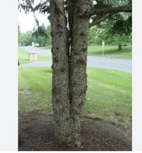 Screen Shot 2025-11-16 at 10.26.55 AM.webp