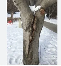 Screen Shot 2025-11-16 at 10.28.30 AM.webp