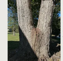 Screen Shot 2025-11-15 at 6.04.49 PM.webp