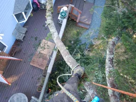 0 TB 20.webp 0 TB 20.webp