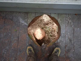 0 TB 25.webp 0 TB 25.webp