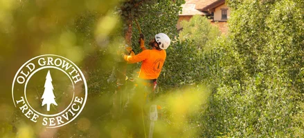 removals008-JTM_2798 copy.webp removals008-JTM_2798 copy.webp